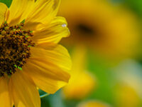 sacred moments with the risen lord